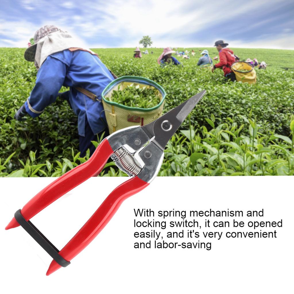 1Pc Sturdy Fruit Tree Bonsai Gardening Pruning Shear Garden Scissors Pruner Tool Curved Blade
