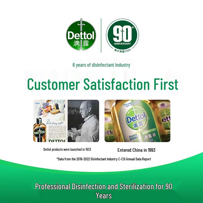 Dettol Classic Pine Rinse-Free Hand Sanitizer