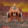 Transformers Legacy United Core Class Beast Wars II Universe Tasmanian Transforming Action Figure Kid, 3.5-Inch 8+