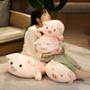Ball Pig Doll Plush Toy Bobo Pig Super Soft Doll Sleeping with Doll Children's Girlfriend Best Friend Gift