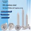 304 Stainless Steel Phillips Flat Head Self-Tapping Screws M2-M6, Thin To Large Sizes