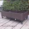 Extra Large Yellow-Edged Rooftop & Balcony Vegetable Planter Box