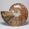 Accesorii pentru decor – Obiecte de decor din materiale naturale