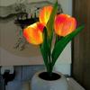 LED Tulip Night Light, a decorative bedside lamp for dormitories, a sleep light, a simulated flower ambient light, gift