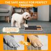 Dog Nail Scratching Board 3/6 Grids Wood Dog Nail File Toy with Snack Box Multipurpose Puppy Claw Grooming Tool Dog Scratch Pad