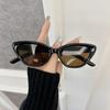 Fashion Cat Eye Sunglasses Women Men Brand Designer Cool Sun Glasses Female Outdoor Colorful Travel