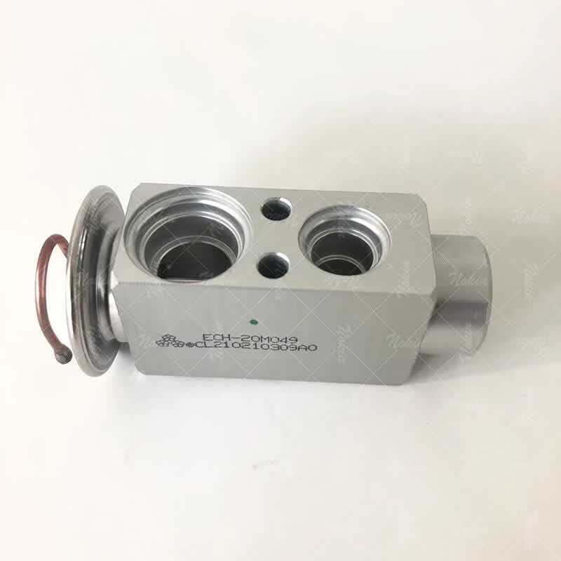 Dongfeng Tianjian AC Expansion Valve