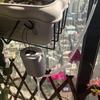 Automatic Plant Flower Watering Pump Home Sprinkler Drip Irrigation Device 4/8/16 Heads Pump Timer System Kit Garden Tool