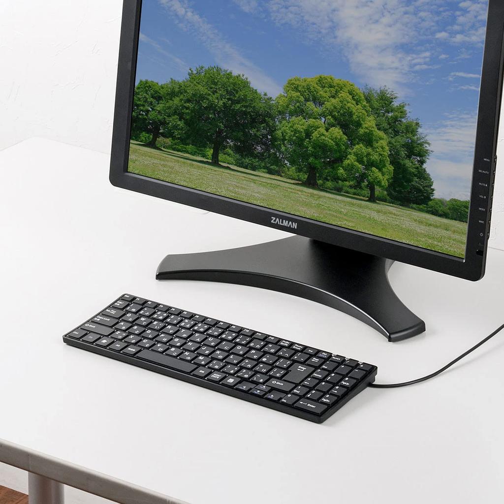 Sanwa Supply USB Slim Keyboard with Pantograph and Numeric Keypad, Black, SKB-SL17BKN