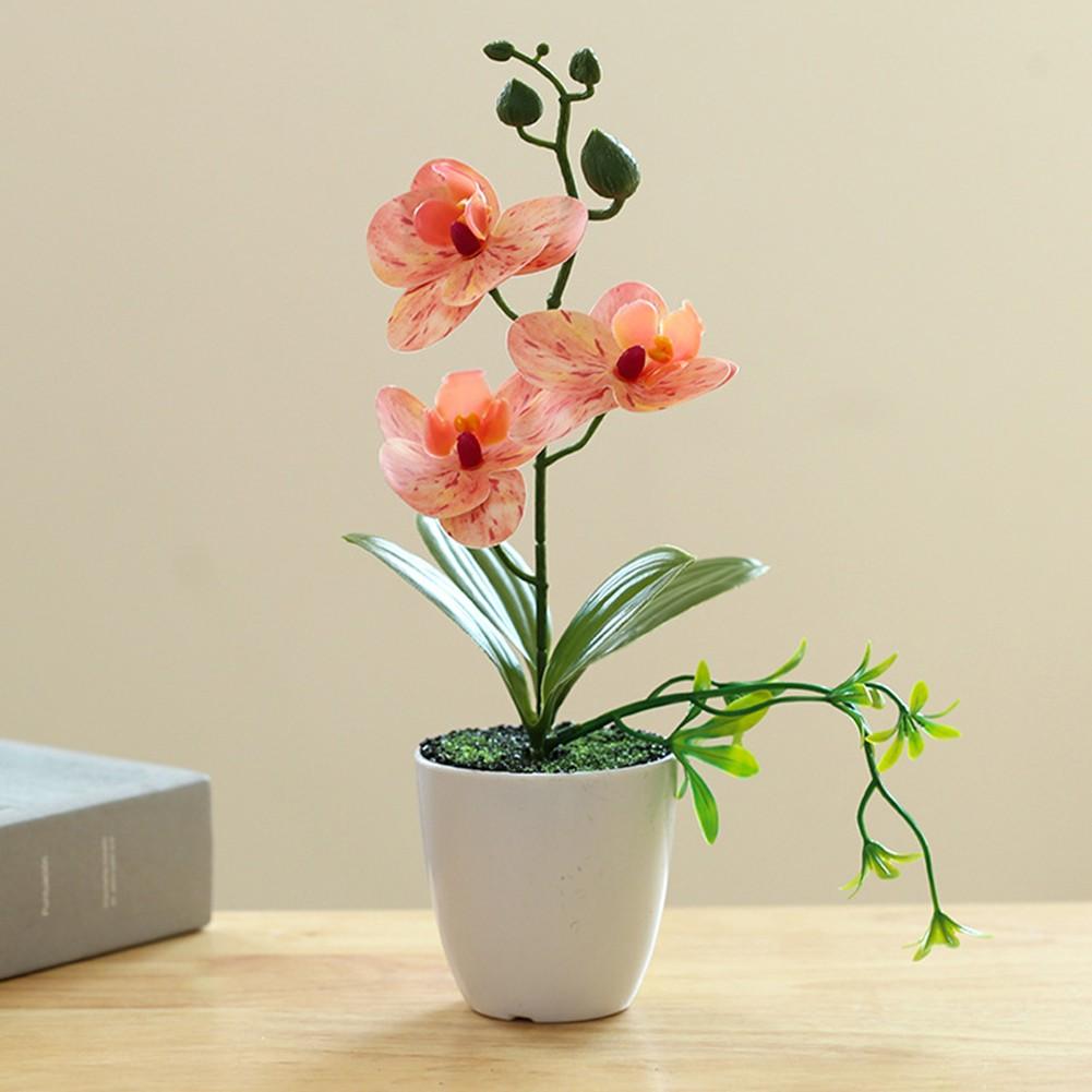 

Искусственные цветы украшения освещение дворы живой оранжевый