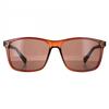 Eyewear & Accessories – Sunglasses