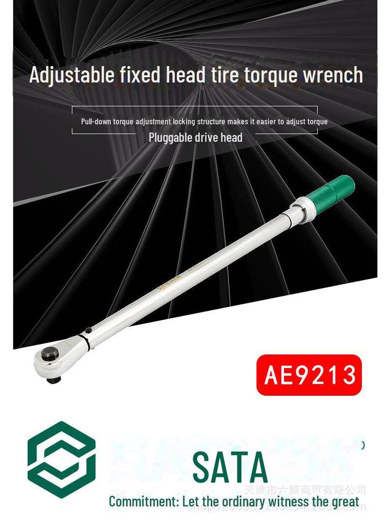 Star Electronics AE9213 High Precision Digital Torque Wrench with Digital Display