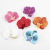 Korean Style Flower Choker Minority Design Ribbon Necklace Elegant Butterfly Orchid Earrings  Gift