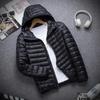 Men's 2026 Slim Fit Lightweight Hooded Cotton Jacket - Casual Striped Design, Warm and Stylish