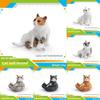 Cat Realistic Pvc Model Ornament For Kids Playroom Decor Educational And