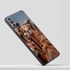 Animal Camel Phone Case For Oneplus 13R 13 12R 11 10T 10R Nord N100 N200 N10 10 9 9R 9RT CE 3 2 Z Pro 5G Soft TPU Cover Fundas