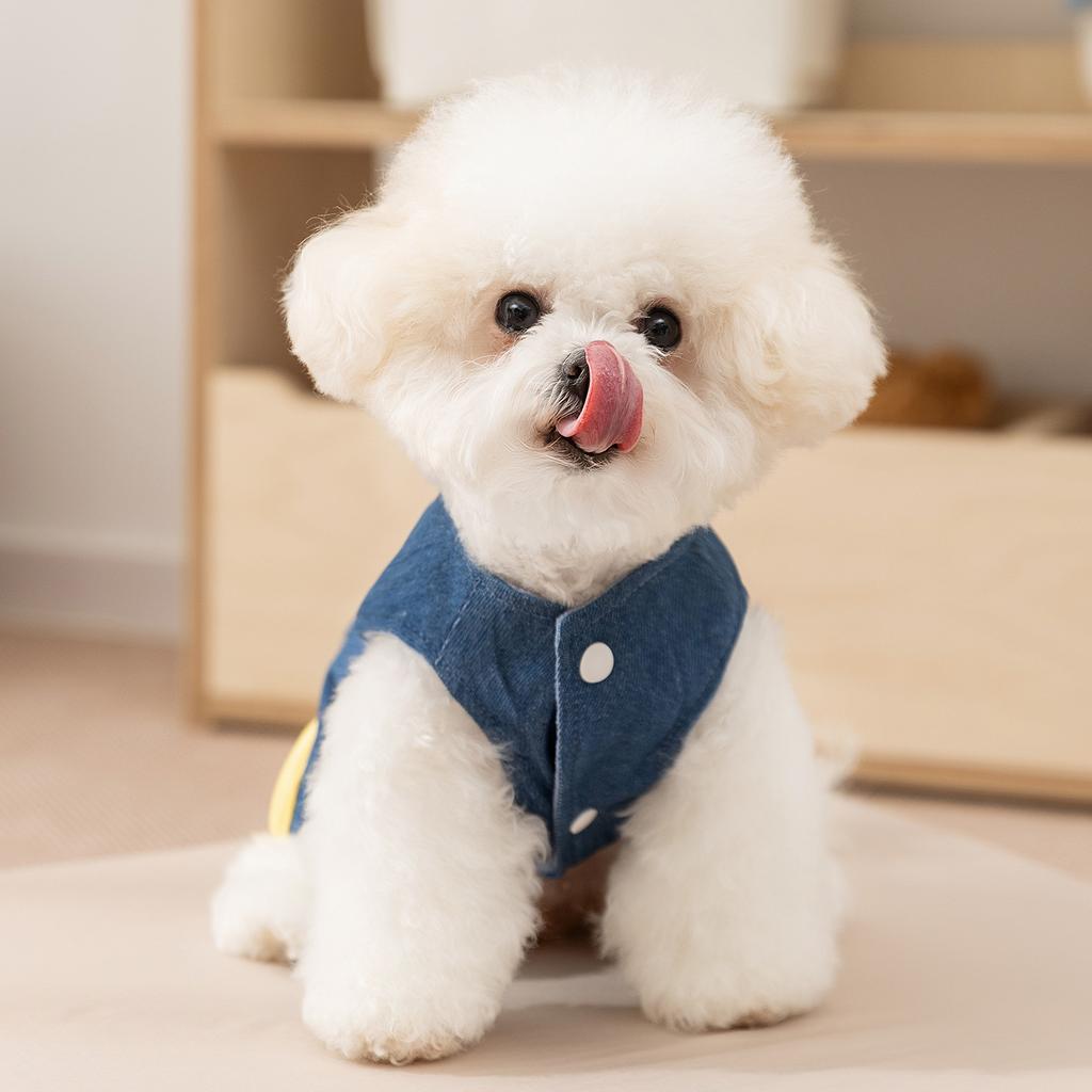 Dog Clothes Autumn and Winter Thin Velvet Bipod Three-dimensional Giraffe Denim Traction Vest Small Dog Pet Clothes