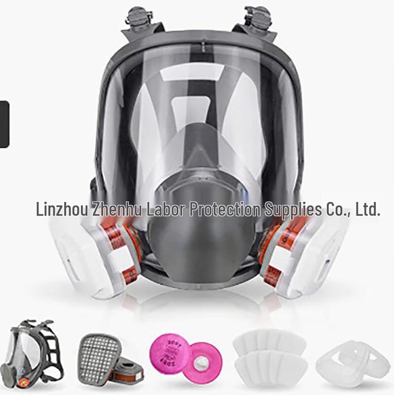 Brangdy Full-Face Respirator Mask Kit