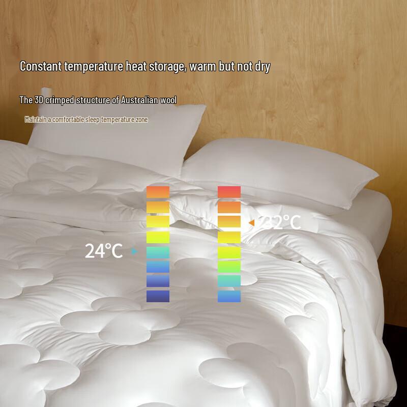 Aimeijia Deep Sleep Warm Wool Blend Quilt