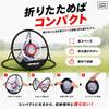 Alpha Depot Golf Practice Net Approach Set with Golf Mat and 20 EVA Balls, Foldable, IndoorOutdoor Use (Normal)