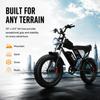 C20 YVY New Off Road Electric Bicycle 1000W Motor 48V 20AH Electric Bicycle Adult Off Road Bicycle