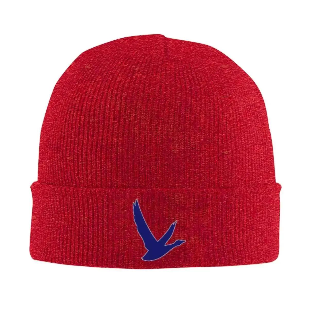 New Grey Goose Vodka (Vintage) Warm Knitted Cap Hip Hop Bonnet Hat Autumn Winter Outdoor Beanies Hats For Unisex Adult