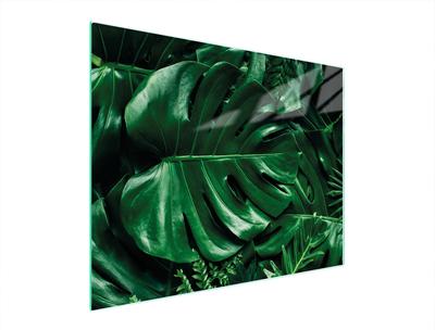 SZKLANA DESKA DO KROJENIA 52x40 MONSTERA