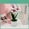 Butterfly Flowers Three Orchid Green Plant For Home Decoration Office