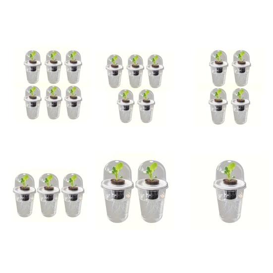 Pflanzenvermehrungsstation Samen Pflanzgefäß Transparenter Becher mit Sämlingen Pflanzenkeimung Starter Hydroponischer Korb Kuppelförmiger Deckel