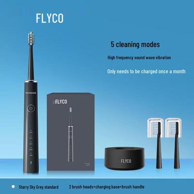 Flyco FT7108 Sonic Electric Toothbrush CN Plug (adapter Included)