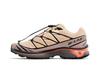 Salomon XT-6 Hazelnut Quail