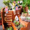Wooden Fairy Door & Window Set - DIY Unfinished Garden Accessory