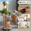 Disc Flower Stand with Storage Indoor Wooden Garden Rack Flower Stand Indoor Planter Stand Houseplant Living Room Balcony Green Dill Flower Easy To