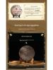 2010 Yunnan Bingdao Pu'er Tea Cake, Ripe, 357g