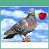Diamond Painting 5d Full Diy Cartoon Animal Pigeon Embroidery Cross Stitch Home Decor Handmade Gift