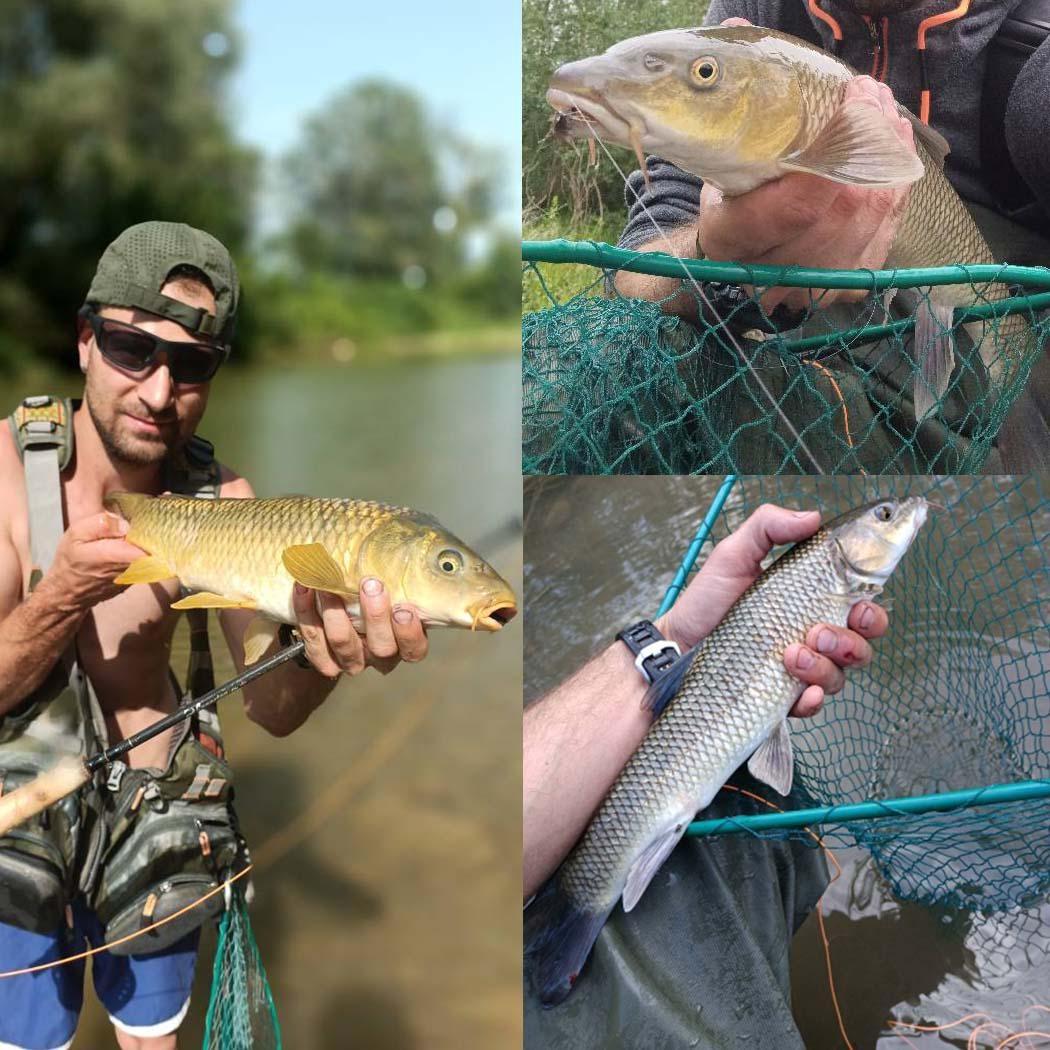 3/10 шт./кор. мухи — фото 9