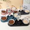 Double Bowl 3 In 1 Cat Feeder Neck Protection Cat Bowls Pet Supplies Pet Food Container  Cat
