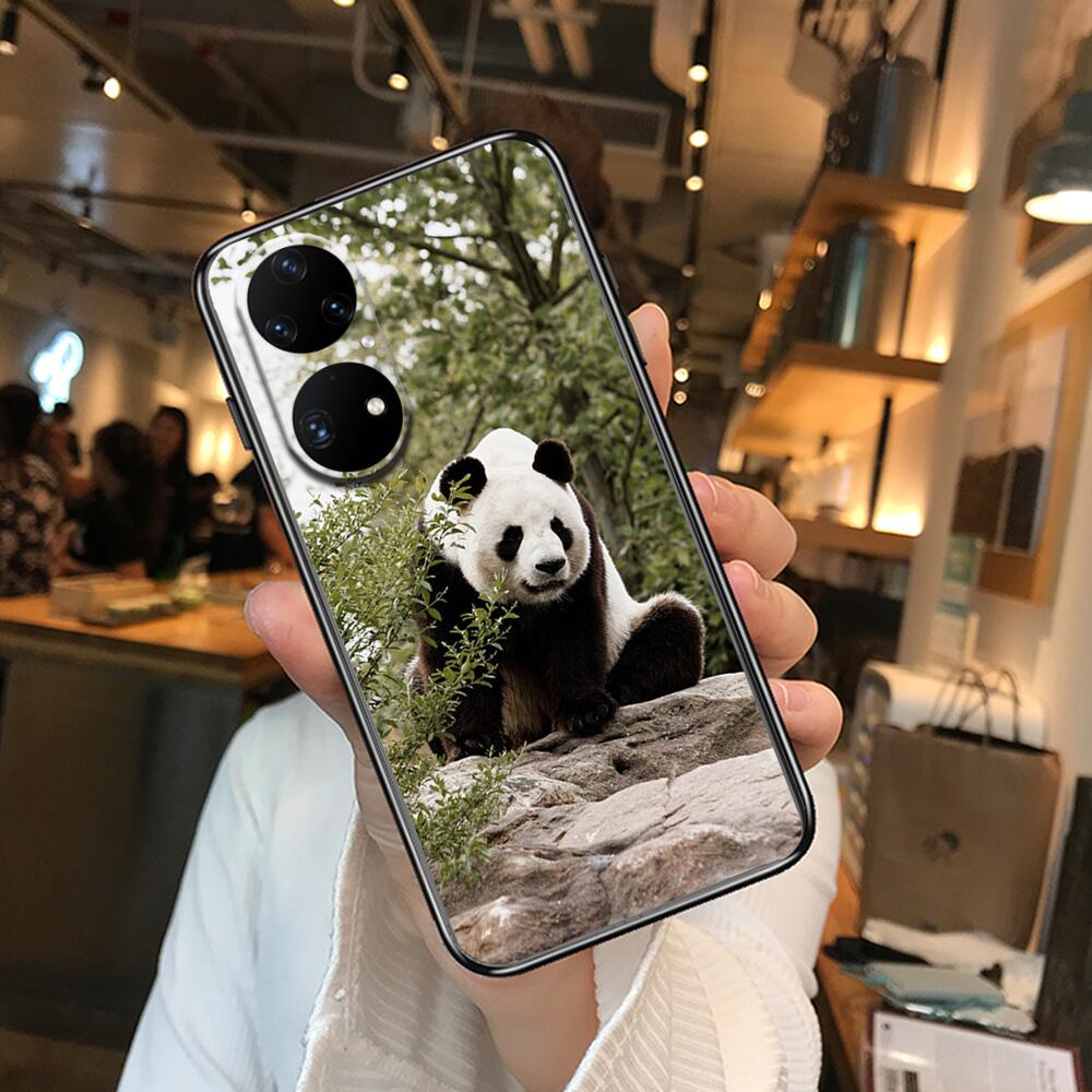 Super roztomilé pouzdro na telefon Panda pro Huawei p50 P40 p30 P20 10 9 8 Lite E Pro Plus Black Etui Coque Painting Hoesjes comic fas