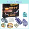 Dig Archaeological Diy Kit Gemstones Fossils For Kids Educational Play Treasure