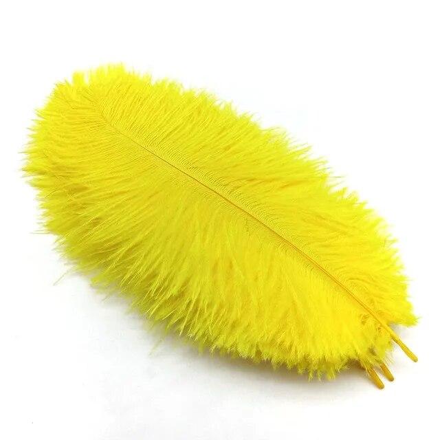 10Pcs Ostrich Feathers Decorative Vase Pluma Wedding Table Centerpieces Carnival Accessories DIY Creative Leisure Craft Supplies