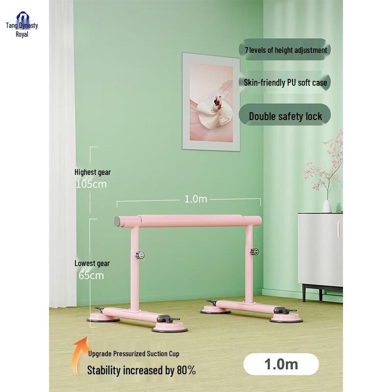 Datangyu Mobile Adjustable Dance Barre