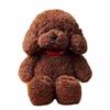 Teddybär Plüschtier Stofftier, Niedliche Lockige Welpenpuppe Sitzende Pose, Weicher Kuscheliger Begleiter Geschenk