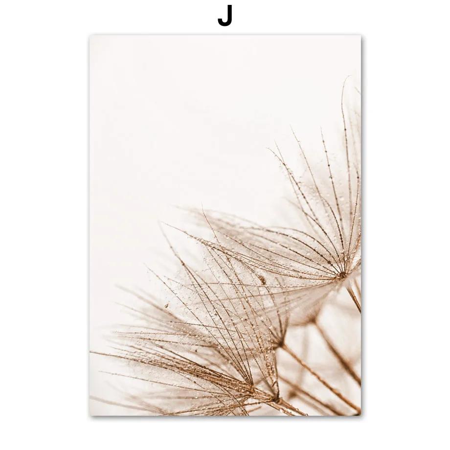 Beige Plant Grass Leaves Dandelion Reeds Posters And Prints Canvas Painting Nordic Wall Art Pictures For Living Room Home Decor