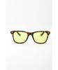 Coleman sunglasses CTL09-2