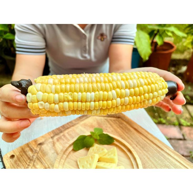 Держатели для кукурузы для барбекю 4 штуки(2 пары) Черные собаки таксы, Держатель для кукурузы животное, Детские держатели для кукурузы, Ручная роспись цветом (Новый-2 Черный