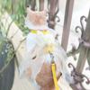 Katzenleine Ausbruchsicher Katzenleine zum Spazierengehen Einziehbar Niedliches Katzentransporttasche Set Hundeleine Katze Haustier Brust und Rücken