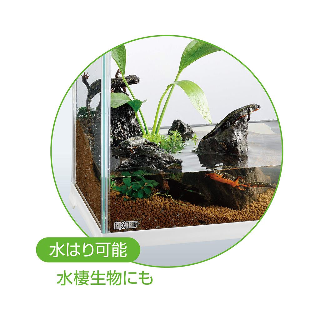 GEX EXOTERRA Reptilia White 300 High Glass Cage for Small White W X 20cm D X Reptile Amphibian Breeding Cage Reptiles, Frame, 31.6cm 28.2cm H, &