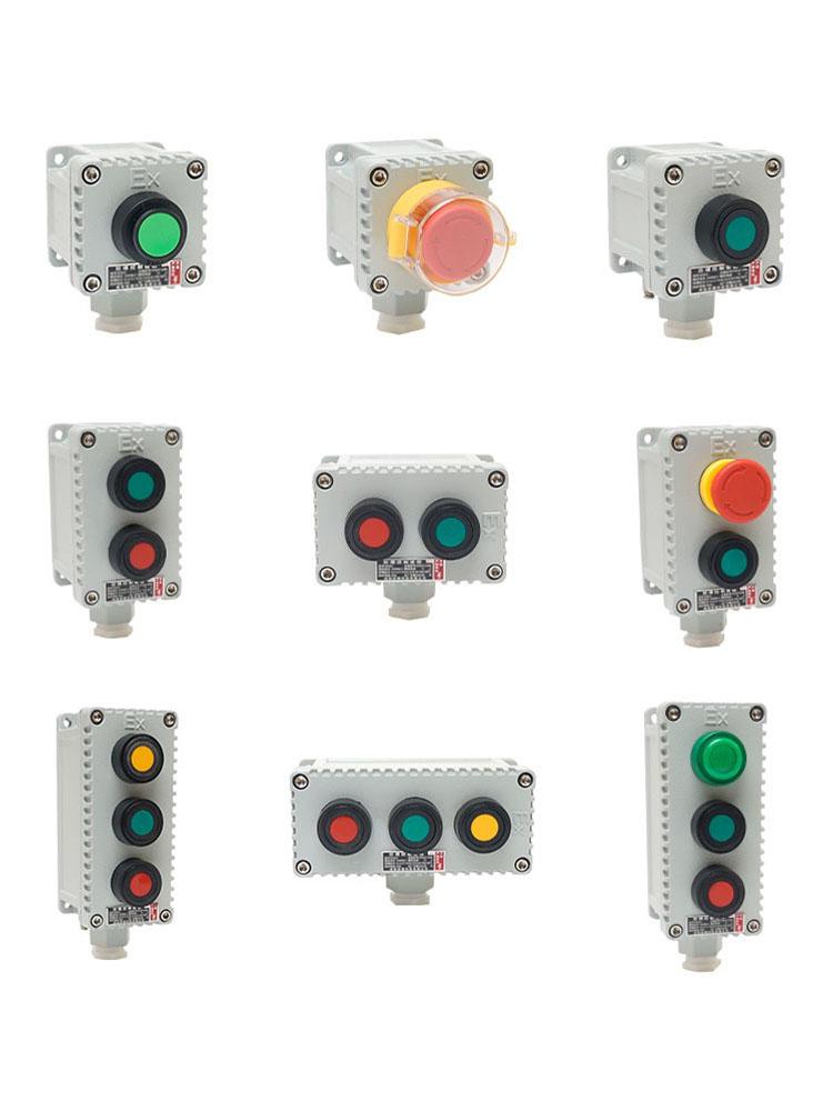 LA53 Explosion-Proof Emergency Stop & Self-Locking Control Switch Box (1H/2H/3H)