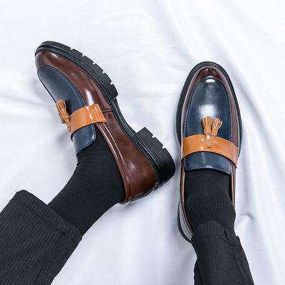Fashion Fashion Brand Men's Comfortable Tassel Leather Shoes Spring Men Color Blocked Business Formal Wear One Foot Casual Leather Shoes