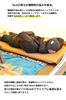 WAQ Camping Car Camping Thick Set of Special Inflatable Mat Set of Mat, Mat, 8cm, 2, Compact, R-Value 6.0, Urethane, Lightweight, (Navy, 2)